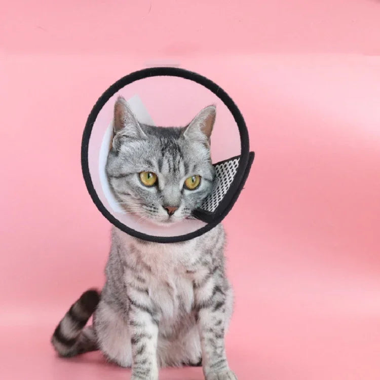 Proteção para Cabeça de Animal de Estimação Colar Anti-Mordida para Gato e Cão Após Cirurgia e Operação, Tamanho: Nº7/8cm, Nº7, Nº6, Nº5, Nº4, Nº3
