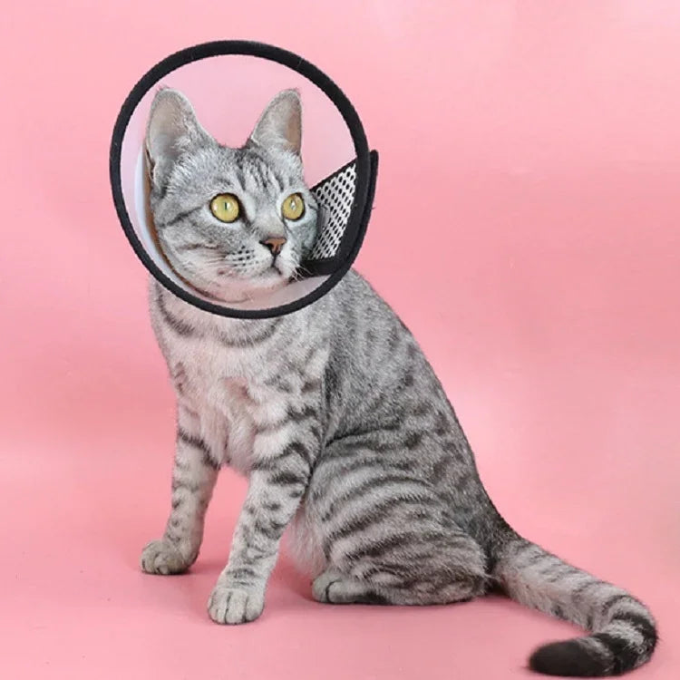 Proteção para Cabeça de Animal de Estimação Colar Anti-Mordida para Gato e Cão Após Cirurgia e Operação, Tamanho: Nº7/8cm, Nº7, Nº6, Nº5, Nº4, Nº3