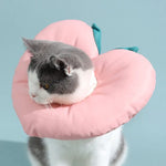 Colar Elizabeth para Gato Gatinho Colar Anti-Lambedura, Tamanho:, S, M, L