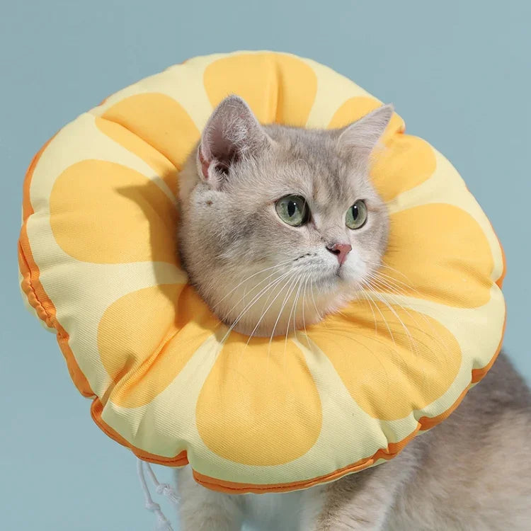 Colar Elizabeth para Gato Gatinho Colar Anti-Lambedura, Tamanho:, S, M, L