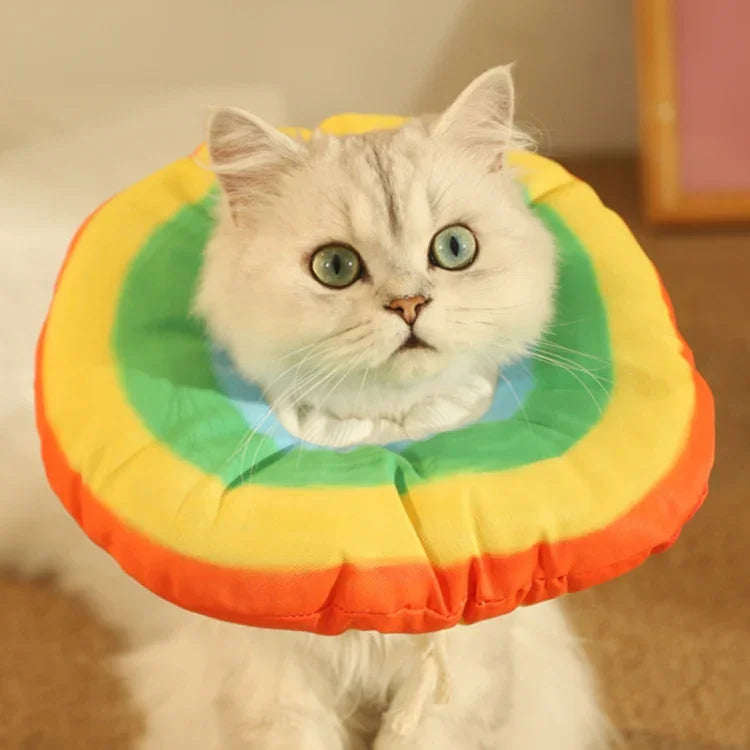 Colar Elizabeth para Gato Gatinho Colar Anti-Lambedura, Tamanho:, S, M, L