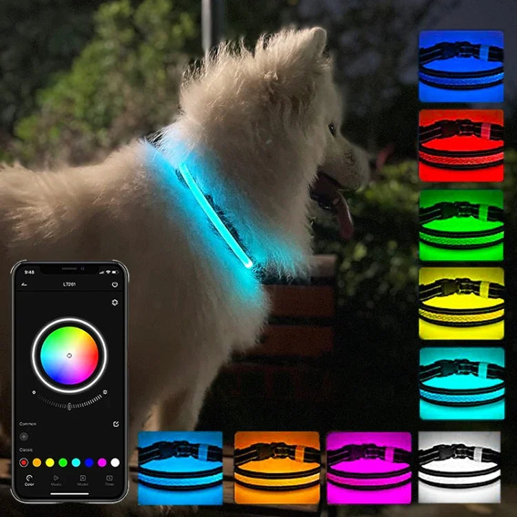 Colar Iluminado LED Recarregável Resistente ao Desgaste e à Água para Animal de Estimação, Tamanho:, XS, S, M, L