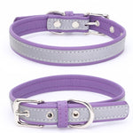 CL181K Pet Soft Reflecting Collar, XL No Iron Sheet Purple, XS No Iron Sheet Purple, XXL No Iron Sheet Red, S No Iron Sheet Red, XL No Iron Sheet Dark Brown, XS No Iron Sheet Dark Brown, L No Iron Sheet Light Green, XL No Iron Sheet Light Brown        ...
