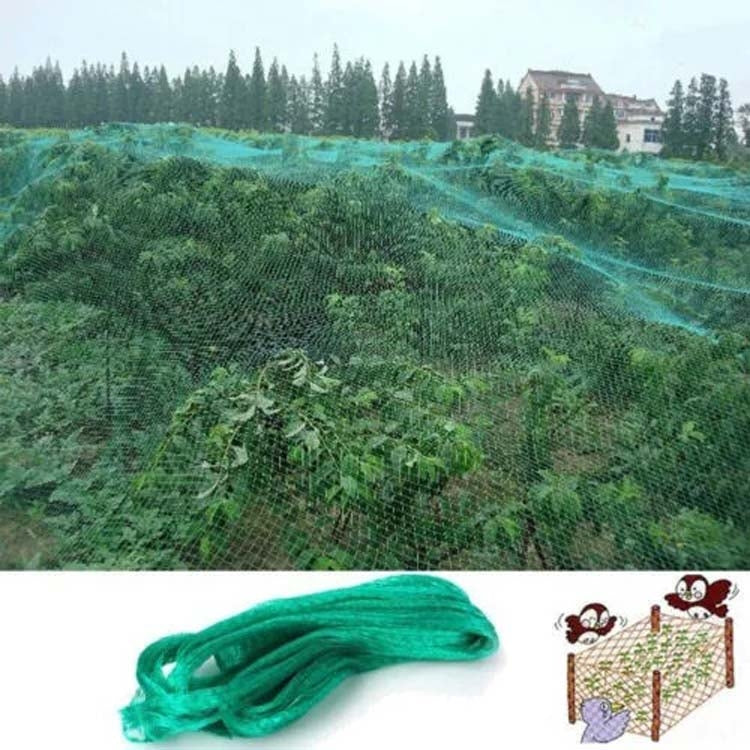 Rede de Proteção Anti-Pássaros para Jardim, Rede para Plantas, Protege Plantas e Frutas, 2Mx10M, 4Mx5M, 4Mx10M, 4Mx12M, 5Mx10M, 5Mx20M, 4Mx15M