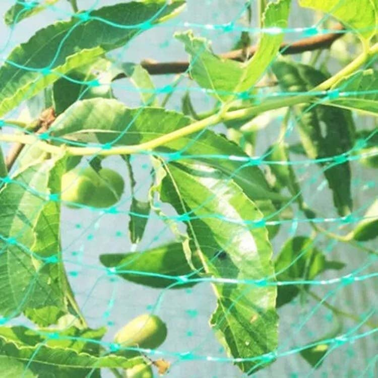 Rede de Proteção Anti-Pássaros para Jardim, Rede para Plantas, Protege Plantas e Frutas, 2Mx10M, 4Mx5M, 4Mx10M, 4Mx12M, 5Mx10M, 5Mx20M, 4Mx15M