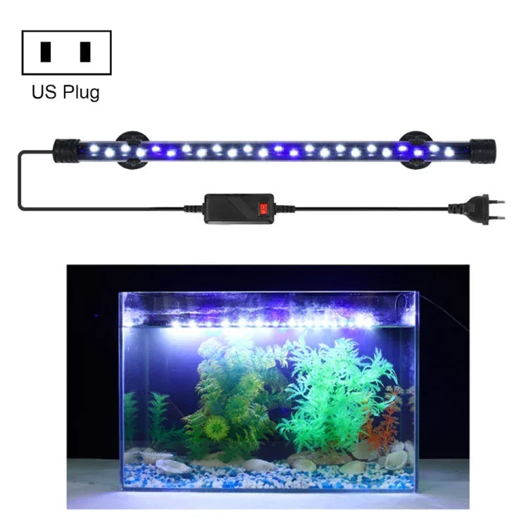 Luz LED para Mergulho em Aquário 90-260V, Luz Azul+Branca Q20BW, Q30BW, Q40BW, Q50BW, Q60BW, Luz RGB Q20CF, Q30CF, Q40CF, Q50CF