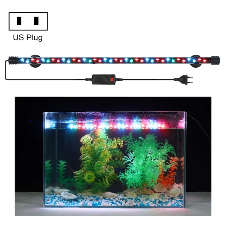 Luz LED para Mergulho em Aquário 90-260V, Luz Azul+Branca Q20BW, Q30BW, Q40BW, Q50BW, Q60BW, Luz RGB Q20CF, Q30CF, Q40CF, Q50CF