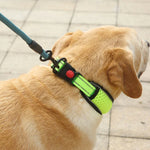 Colar de Pescoço para Cão em Rede de Favo de Mel Respirável Refletor Colar Anti-Estrangulamento, XS, S, M, L, XL