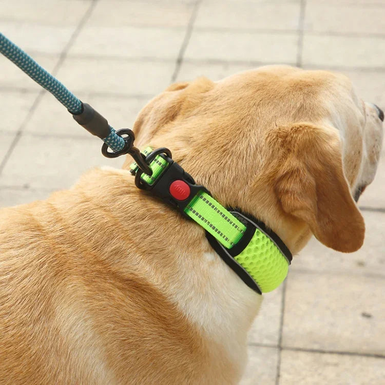 Colar de Pescoço para Cão em Rede de Favo de Mel Respirável Refletor Colar Anti-Estrangulamento, XS, S, M, L, XL