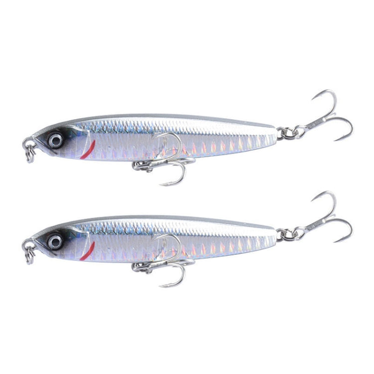 2 Peças de Isco Rígido CH79 para Lançamento Longo e Afundamento, Especificação:, 8cm 10g, 8cm 14g, 10.4cm 18g