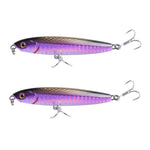2 Peças de Isco Rígido CH79 para Lançamento Longo e Afundamento, Especificação:, 8cm 10g, 8cm 14g, 10.4cm 18g