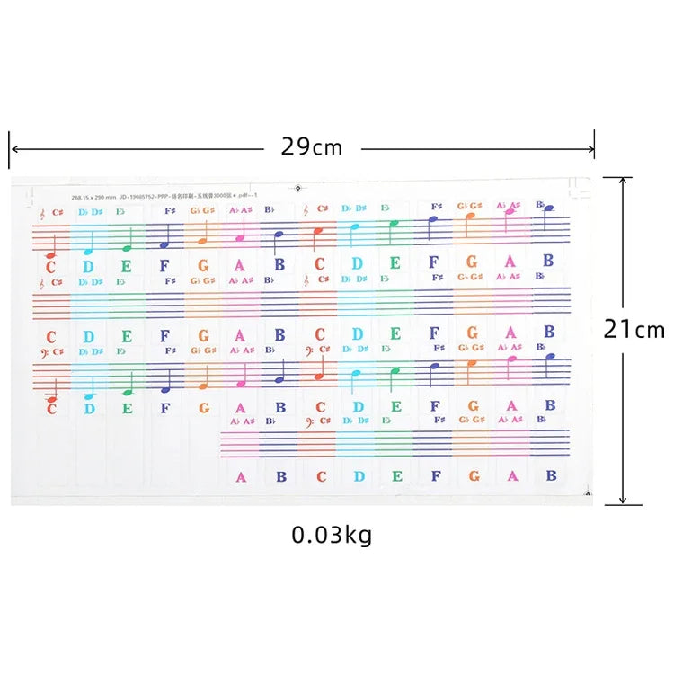 5 Peças de Autocolantes Coloridos para Teclado de Piano Infantil, Acessórios para Instrumentos Musicais, QT-005, QT-005-A, QT-0302