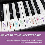 5 Peças de Autocolantes Coloridos para Teclado de Piano Infantil, Acessórios para Instrumentos Musicais, QT-005, QT-005-A, QT-0302