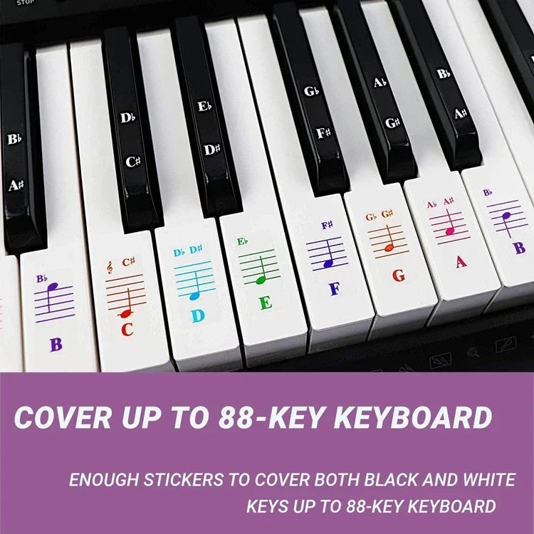 5 Peças de Autocolantes Coloridos para Teclado de Piano Infantil, Acessórios para Instrumentos Musicais, QT-005, QT-005-A, QT-0302