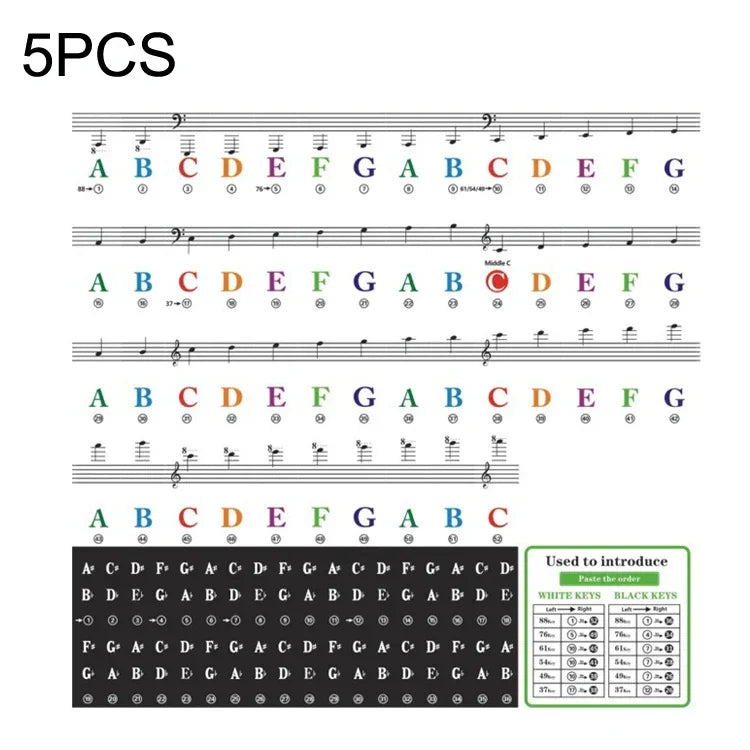 5 Peças de Autocolantes Coloridos para Teclado de Piano Infantil, Acessórios para Instrumentos Musicais, QT-005, QT-005-A, QT-0302