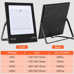 Projetor LED RGB Colorido com Controlo Remoto, 30W, 100W