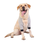Joelheiras para Animais de Estimação Respirável, Tala para Cotovelo de Cão, Tala para Perna Frontal, S, M, L, XL, XXL