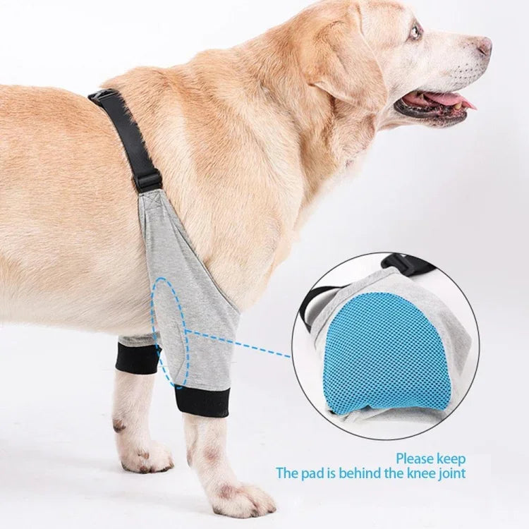 Joelheiras para Animais de Estimação Respirável, Tala para Cotovelo de Cão, Tala para Perna Frontal, S, M, L, XL, XXL