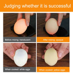 Manual Household Egg Whisker Egg White Egg Yolk Mixing Shaker, Egg Whisker