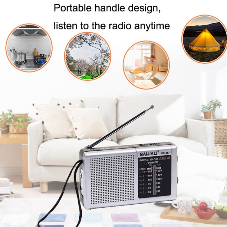 Rádio FM AM Retro Portátil BAIJIALI BJL228 com Altifalante Incorporado, BJL228 Branco, BJL228 Preto