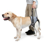 Correia Auxiliar para Perna Traseira de Cão, Cinto de Viagem Auxiliar de Descompressão para Cães Idosos e Feridos, S, M, L