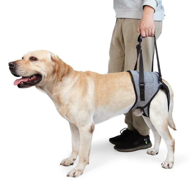 Correia Auxiliar para Perna Traseira de Cão, Cinto de Viagem Auxiliar de Descompressão para Cães Idosos e Feridos, S, M, L
