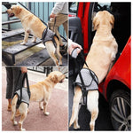 Correia Auxiliar para Perna Traseira de Cão, Cinto de Viagem Auxiliar de Descompressão para Cães Idosos e Feridos, S, M, L