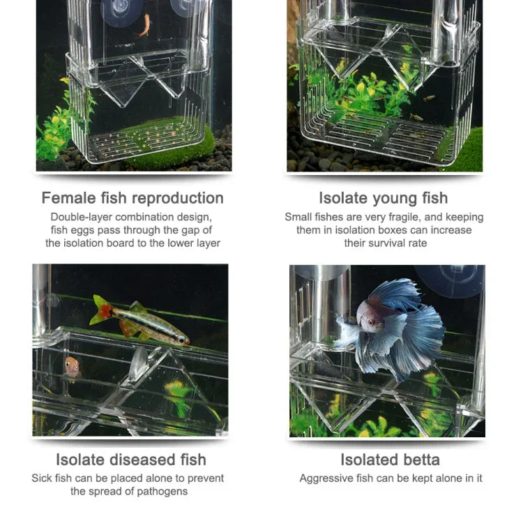 Caixa de Reprodução Transparente de Duas Camadas para Peixe Pavão, Caixa de Reprodução para Aquário, Pequena, Grande, Extra Grande