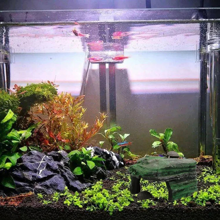 Texto alternativo da imagem