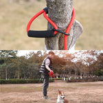 Sh36 Rock Climbing Rope Pet Leash Bold and Long Dog Training Tracking Rope, 1.5m, 2m, 5m, 10m, 3m