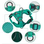 Conjunto de Peitoral + Corda de Tração para Animais de Estimação, Peitoral Respirável e Reflector para Cão e Gato, S, M, L, XL