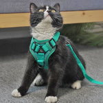 Conjunto de Peitoral + Corda de Tração para Animais de Estimação, Peitoral Respirável e Reflector para Cão e Gato, S, M, L, XL
