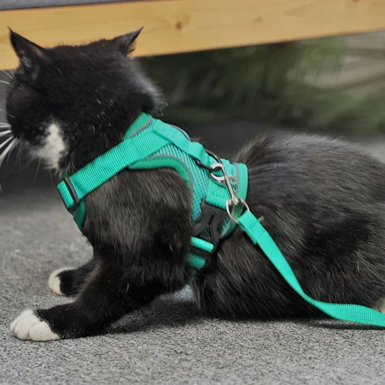 Conjunto de Peitoral + Corda de Tração para Animais de Estimação, Peitoral Respirável e Reflector para Cão e Gato, S, M, L, XL