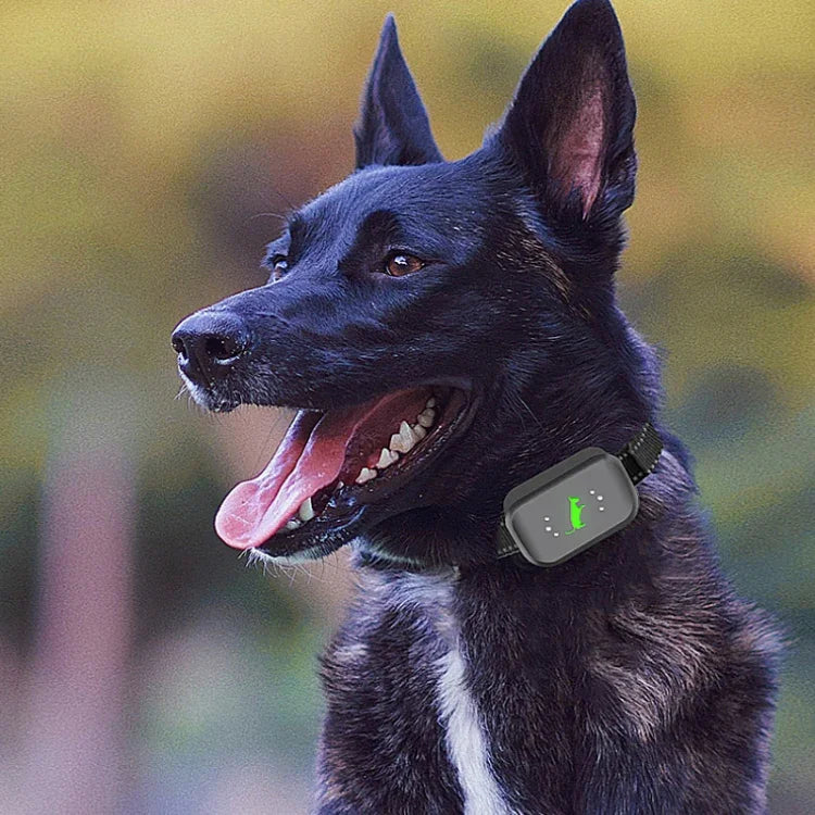 Treinador Inteligente para Cães com Choque Elétrico Impermeável Recarregável e Controlo Remoto para Parar Latidos