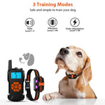 Dispositivo Eletrónico de Treino para Cães com Controlo Remoto Colar de Choque para Treino, Para-Um-Cão, Recetor