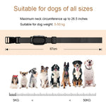Colar de Treino para Cães Inteligente Dispositivo de Treino para Animais com Controlo Remoto de 400m, T300, Recetor