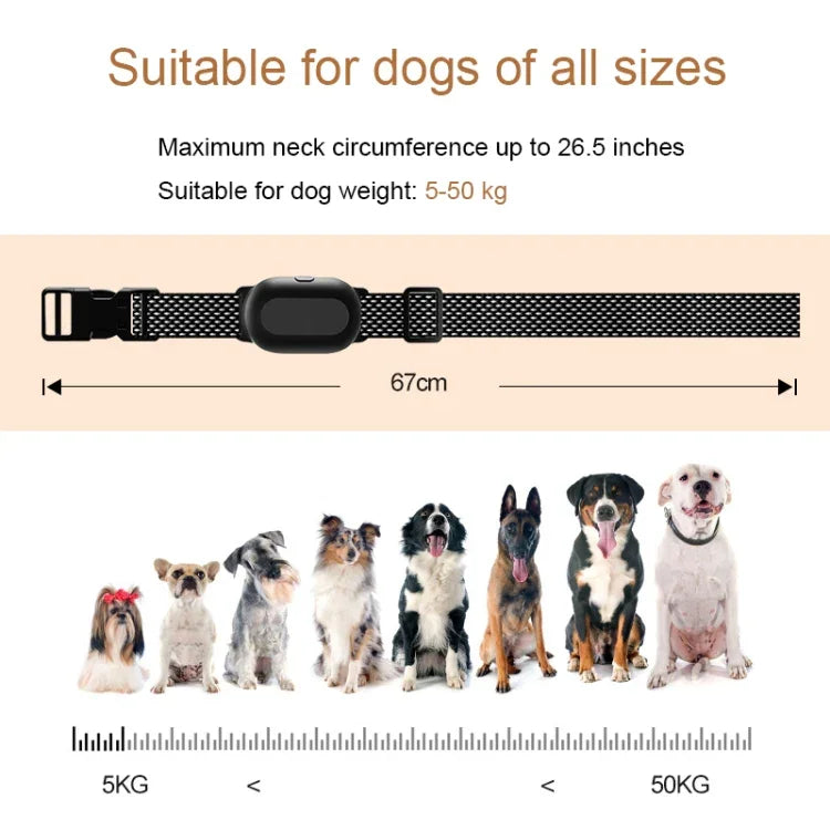 Colar de Treino para Cães Inteligente Dispositivo de Treino para Animais com Controlo Remoto de 400m, T300, Recetor