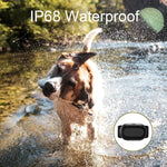 Colar de Treino para Cães Inteligente Dispositivo de Treino para Animais com Controlo Remoto de 400m, T300, Recetor