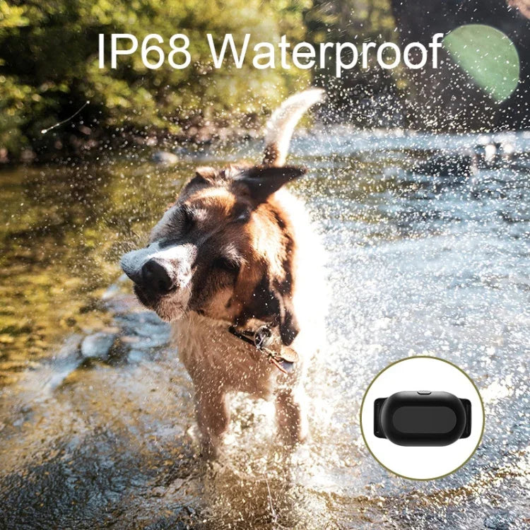 Colar de Treino para Cães Inteligente Dispositivo de Treino para Animais com Controlo Remoto de 400m, T300, Recetor