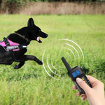 Colar Inteligente para Treino com Choque Elétrico Impermeável Dispositivo de Treino para Cães, Recetor + Controlo Remoto Amarelo, Apenas Recetor