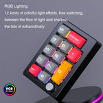 MKESPN Teclado Mecânico com 13 Teclas RGB, Programação Macro Multifuncional com Botão Giratório, Com Fios