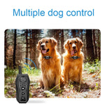 Dispositivo Inteligente Eletrónico de Treino para Cães com Controlo Remoto Colar de Choque para Treino Parar Latidos, T700, Recetor