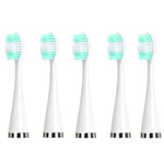 Cabeças de Substituição para Escalador Dentário Elétrico, Branco Básico, Branco Exclusivo, Preto Básico, Preto Exclusivo, Verde Básico, Verde Exclusivo, 5 Cabeças de Escova Brancas, 5 Cabeças de Escova Pretas, 5 Cabeças de Escova Verdes