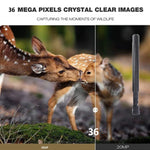 HC-801Pro Câmara de Caça ao Ar Livre 4K 4G com Controlo Remoto por APP para Visualizar Fotos e Vídeos a Qualquer Momento, Plugue UE, Plugue EUA, Plugue AU