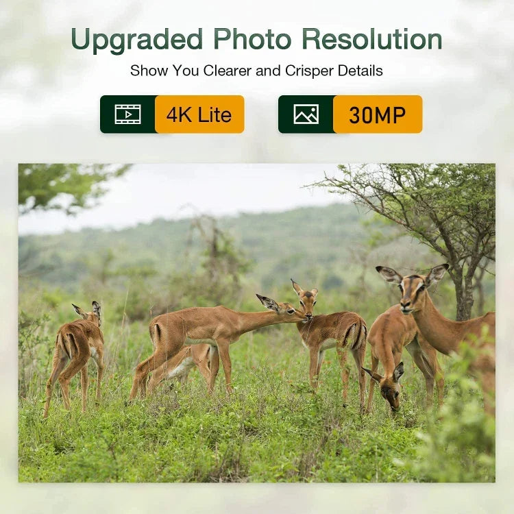 HC-801Pro Câmara de Caça ao Ar Livre 4K 4G com Controlo Remoto por APP para Visualizar Fotos e Vídeos a Qualquer Momento, Plugue UE, Plugue EUA, Plugue AU