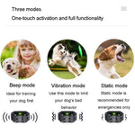 Treinador de Cães com Controlo Remoto de 800m, Colar Inteligente Anti-Distúrbios com Vibração para Parar Latidos, Com 1 Colar, Com 2 Colares, Com 3 Colares