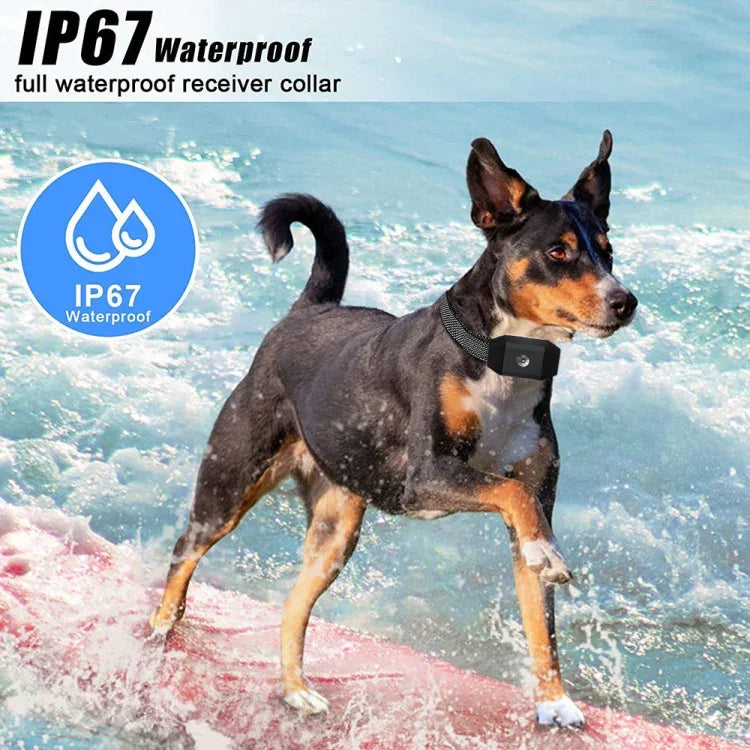 Colar Inteligente à Prova de Água com Vibração para Treinador de Cães com Controlo Remoto, 669N-1, 669N-2