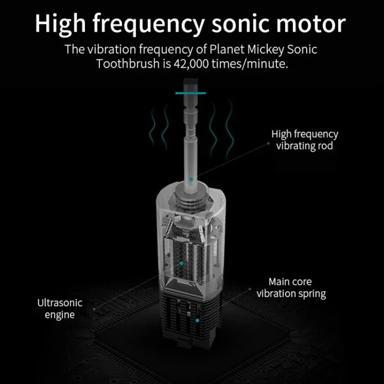 Escovas Dentais Elétricas Recarregáveis com Cerdas Ultrassónicas Suaves, Flosser com 6 Níveis e 4 Escovas