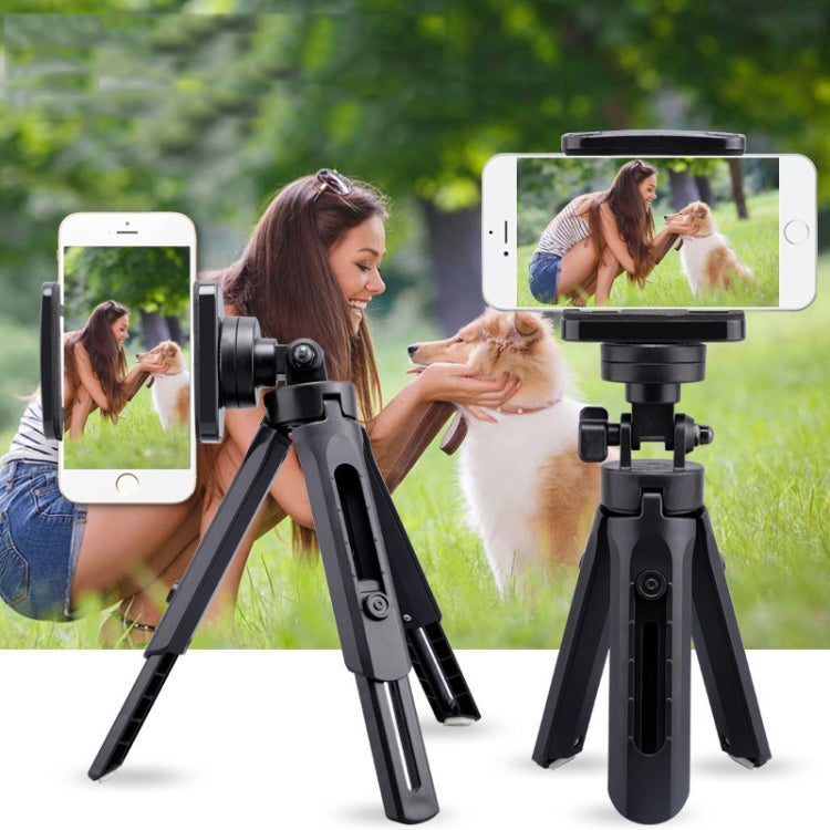Tripé Portátil de Mesa para Câmara de Telemóvel com Cabeça de Bola, Mini Tripé Selfie Removível
