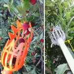 Cesto Grande para Jardim Cabeça Apanhadora de Frutas Ferramenta para Colheita em Altura, Grande 26cm
